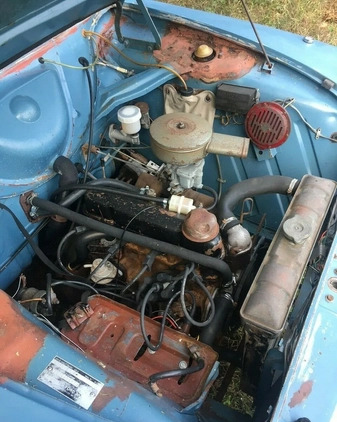 Ford Inny cena 18500 przebieg: 100000, rok produkcji 1965 z Poddębice małe 154